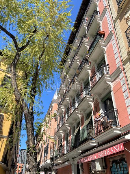 Foto c019a4b4-cdf6-4f97-b783-5ddc363821a1. Planta baixa a Embajadores-Lavapiés Madrid