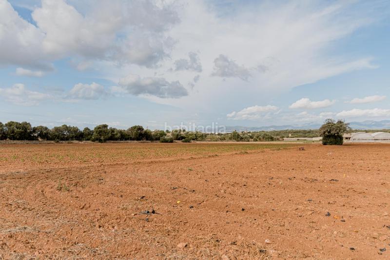 Foto 0bd6b29e-32d2-4b57-a9de-8f5583080040. Chalet with pool in Sa Casa Blanca Palma de Mallorca