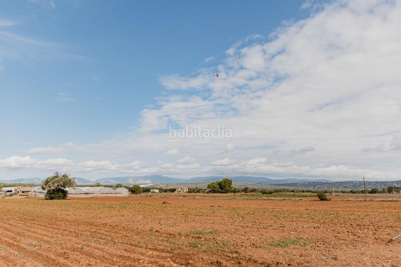 Foto 27a38493-b05f-42d9-a1a5-2dd4975e96d8. Chalet with pool in Sa Casa Blanca Palma de Mallorca