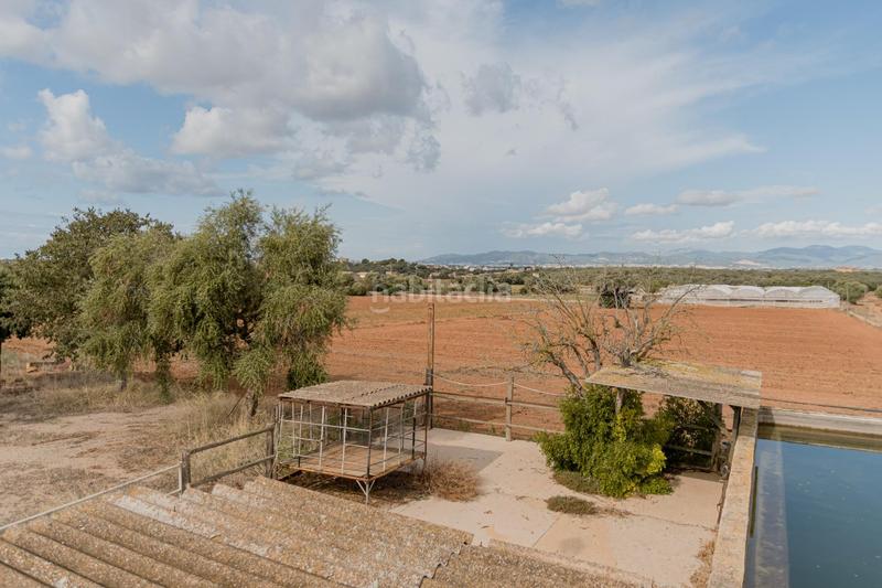 Foto 2d8d20c6-8b22-43f7-9403-0d2c61851ca4. Chalet with pool in Sa Casa Blanca Palma de Mallorca