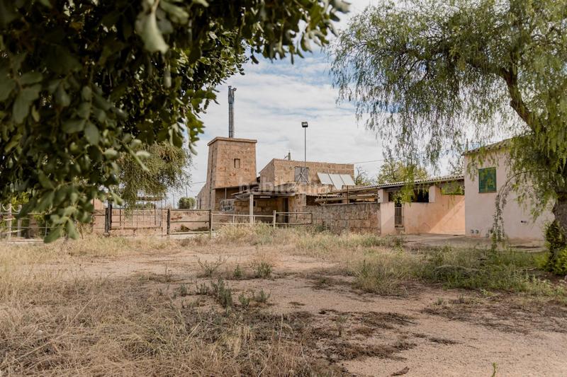 Foto 84027c35-4995-4b2a-a636-dfcd3b374c9e. Chalet with pool in Sa Casa Blanca Palma de Mallorca