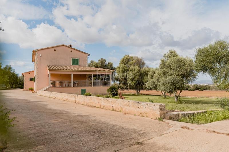 Foto 97235f62-b6ed-4e6b-9bae-ad4885ad9fc1. Chalet with pool in Sa Casa Blanca Palma de Mallorca