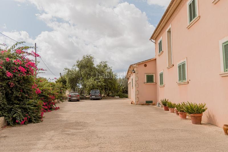 Foto ae6b655f-900d-4dc9-be33-3cbfe75e8252. Chalet with pool in Sa Casa Blanca Palma de Mallorca