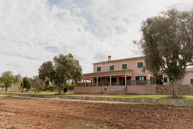 Foto bcf3c345-7dce-4f29-99f6-066f5227e91c. Chalet with pool in Sa Casa Blanca Palma de Mallorca