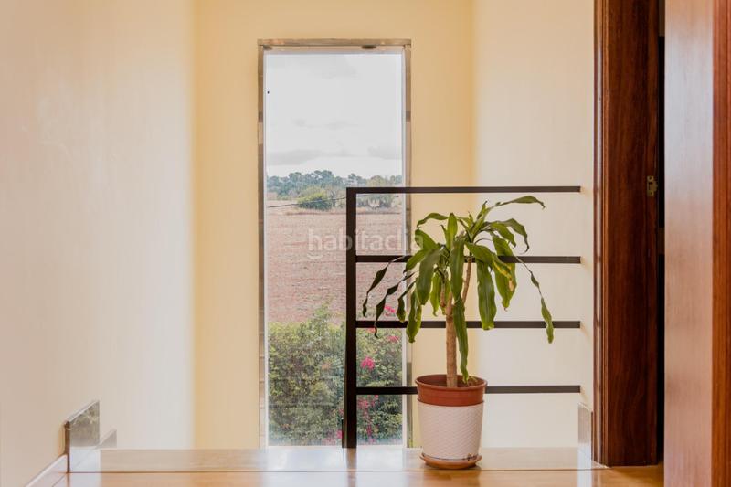 Foto d380b4ef-d707-4dc4-9ede-b2e465d9f135. Chalet with pool in Sa Casa Blanca Palma de Mallorca