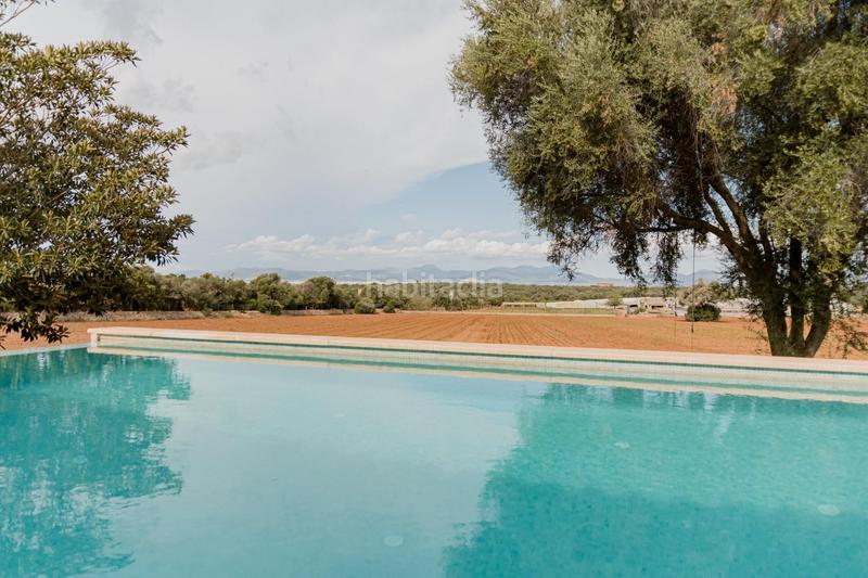 Foto e0b0594e-a5e4-4e41-a9c2-4384431d37c2. Chalet with pool in Sa Casa Blanca Palma de Mallorca