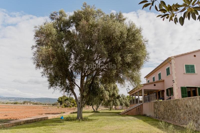 Foto eb970d9d-fea4-49d8-9bcc-8534ed0d6f28. Chalet with pool in Sa Casa Blanca Palma de Mallorca