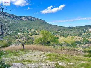 Rural plot in Sant Llorenç des Cardassar. Se vende terreno rústico en sant llorenç del cardassar