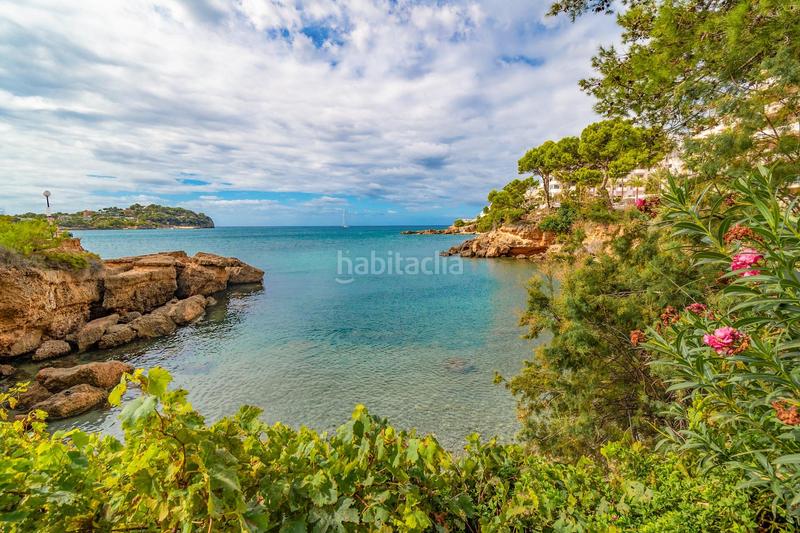 Foto db56600d-f3c0-4063-bdcb-f4c4dc094274. Appartement avec parking dans El Toro Calvià