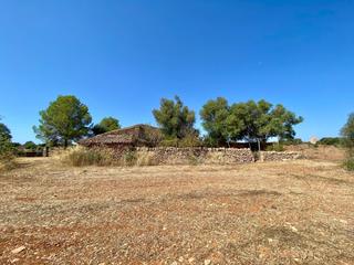 Propriété à Campos. Terreno rústico de 5.173 m en campos  con casa de 35 m2 y corral