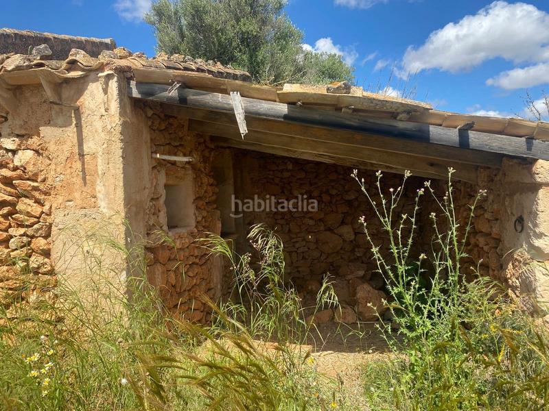 Foto 3db90efa-4b72-4993-8eab-67fd5b0f03fb. Fondo rustico in Campos