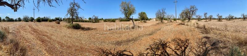 Foto 7023e634-cd7d-4075-b0c5-19d2a4fe61f9. Fondo rustico in Campos