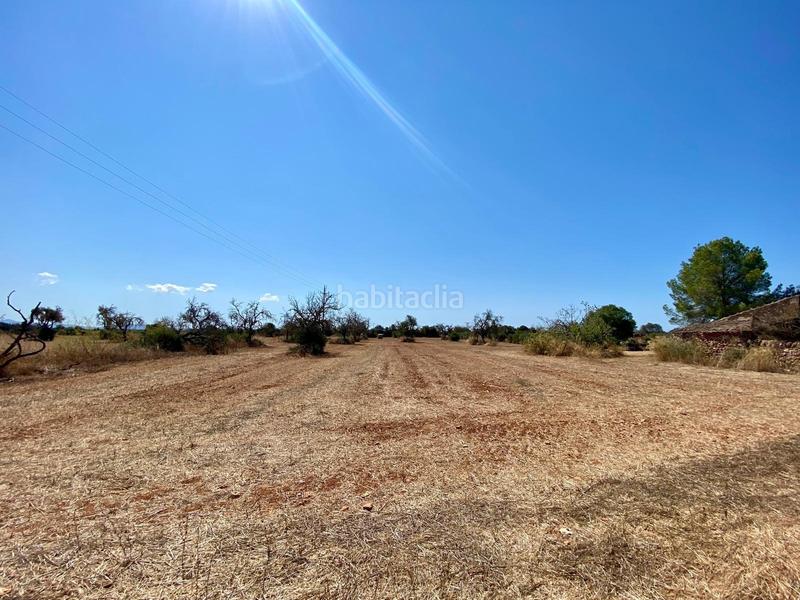 Foto af85d824-da76-4767-82c6-bfe69752acbb. Fondo rustico in Campos