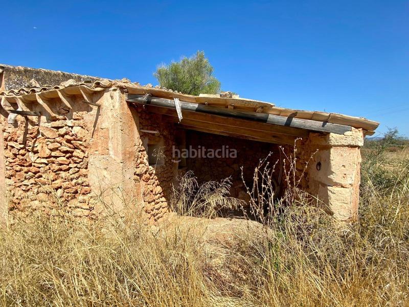 Foto b48c7fd8-dab4-4f86-a4bd-b83604b094b4. Fondo rustico in Campos