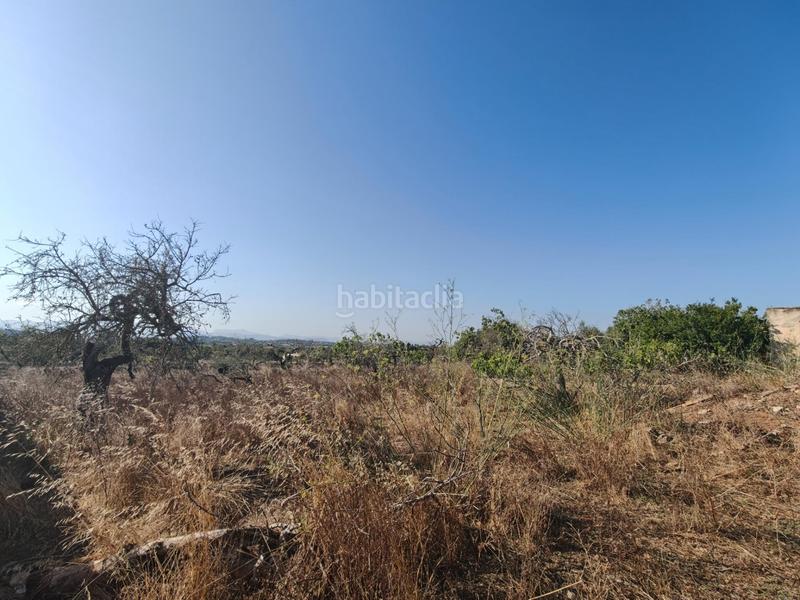 Foto 23af43cc-11f5-4eb9-8b50-9f1e6c70d3dd. Wohngrundstück in Santa Margalida poble Santa Margalida