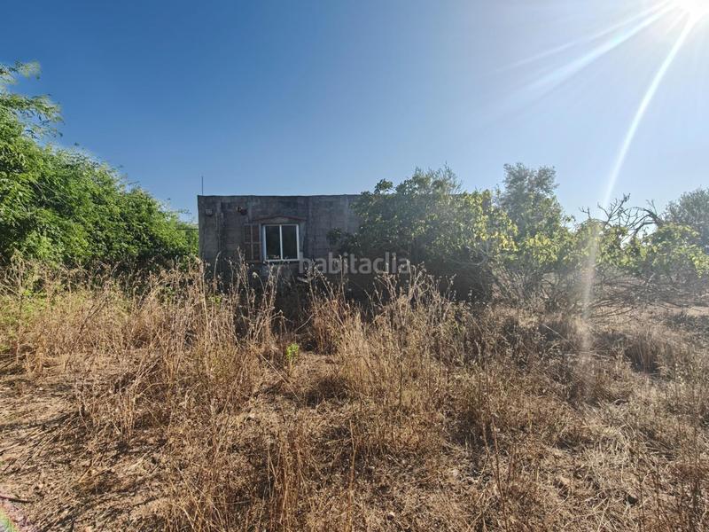 Foto 2af3c9c1-9a48-4302-b678-709d104491f9. Wohngrundstück in Santa Margalida poble Santa Margalida