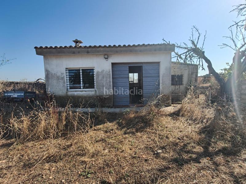 Foto 3cab0fc8-1255-44f3-966d-4f18fea05858. Wohngrundstück in Santa Margalida poble Santa Margalida