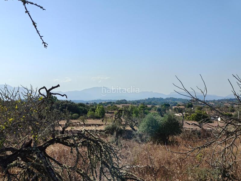 Foto 51bb19bf-a298-4398-8732-c0aa55a85d3a. Wohngrundstück in Santa Margalida poble Santa Margalida