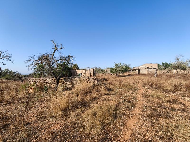 Foto 600cb860-1d21-4452-b60e-2beb037fd769. Wohngrundstück in Santa Margalida poble Santa Margalida