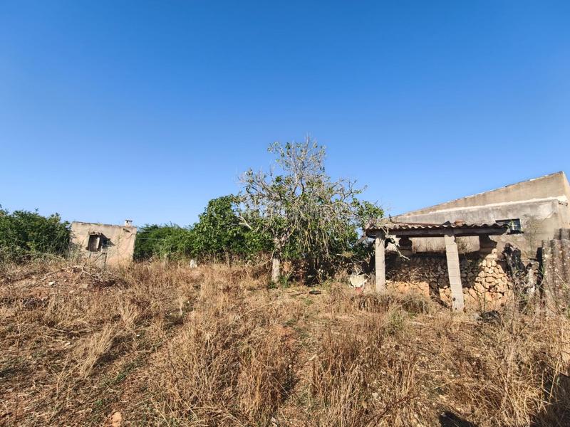 Foto 884fd8b7-6c28-4d4d-8cb6-ea3ae8c97852. Wohngrundstück in Santa Margalida poble Santa Margalida