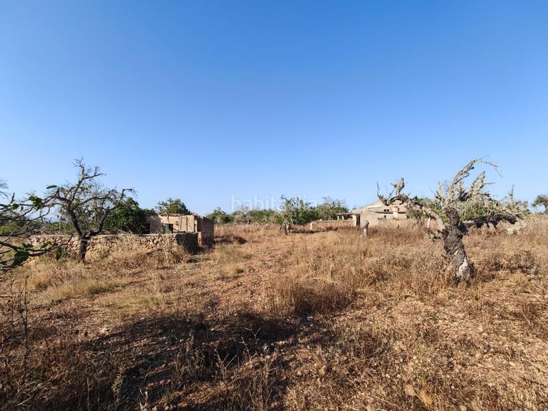 Foto 9307f33b-4fc8-4ae7-bacb-88eb9c6356ac. Wohngrundstück in Santa Margalida poble Santa Margalida