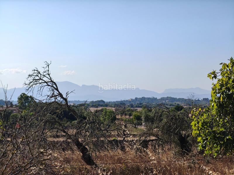 Foto dee13272-7746-4980-852a-f460d042aab9. Wohngrundstück in Santa Margalida poble Santa Margalida