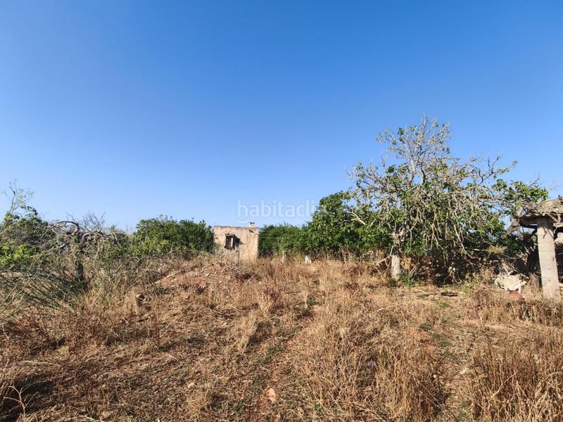 Foto f98325e0-7a30-4cc3-8e6e-8038365f848c. Wohngrundstück in Santa Margalida poble Santa Margalida