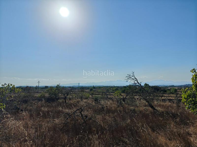 Foto fdd1d908-afc0-4f5c-8120-d2b45408ff4c. Wohngrundstück in Santa Margalida poble Santa Margalida