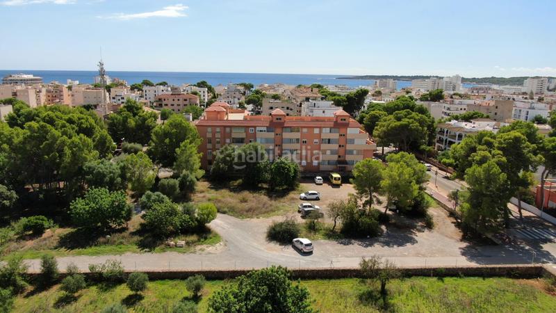 Foto 69b74e12-303a-4bc9-96f8-60b4ea99e611. Appartamento con parcheggio in Cala Millor Son Servera
