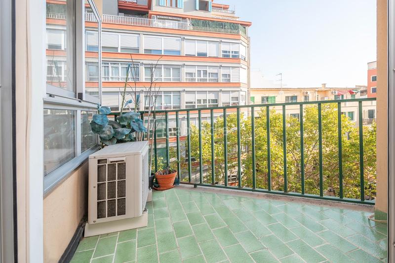 Foto 16fdf4bb-a6de-40d2-b174-aaf5cf9a1669. Pis a Arxiduc Palma de Mallorca