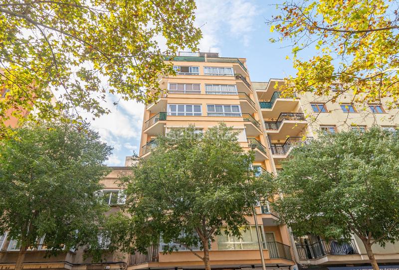 Foto d14b638e-df7f-45a2-b51c-25376411194c. Pis a Arxiduc Palma de Mallorca