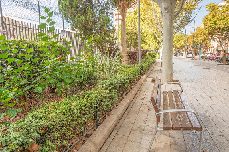 Foto effbf209-c22f-4384-a5bb-d105053d9b3b. Pis a Arxiduc Palma de Mallorca