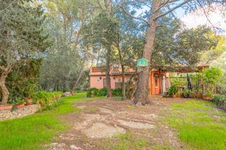 Bauernhof in Esporles. Terreno con construcción a efectos de catastro