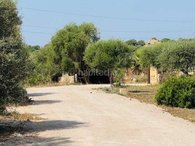 Foto 17590f2b-e350-48d2-b08e-9c75c9a13d15. Masia amb piscina a Petra
