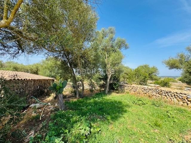 Foto 53852d43-9efa-42e3-a270-1f2a3714f451. Masia amb piscina a Petra