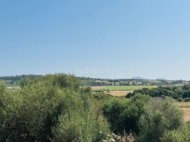 Foto d47b8c5c-6b3d-4642-b7fc-9859d22b8bef. Masia amb piscina a Petra