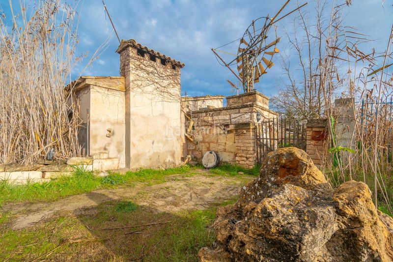 Foto 2202e763-8773-4a7b-bff1-9e06d654676d. Masía rústica con piscina en el parque natural de salbufera en Sa Pobla