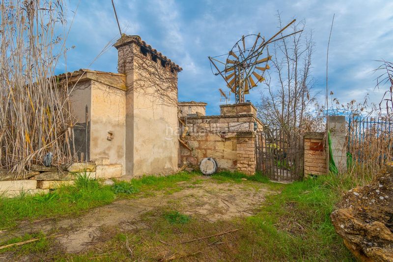 Foto 56bbf8be-6d9d-4672-963b-aacfe61589a4. Masía rústica con piscina en el parque natural de salbufera en Sa Pobla