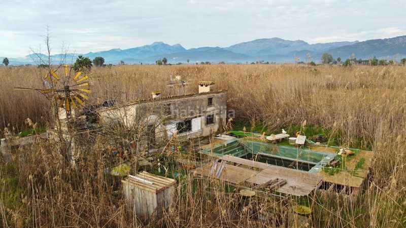 Foto 59f86ed9-2270-4788-8b25-cbccfa55efd5. Masía rústica con piscina en el parque natural de salbufera en Sa Pobla
