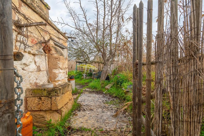 Foto 5a77346a-eacd-43c7-9def-575e3908cd15. Masía rústica con piscina en el parque natural de salbufera en Sa Pobla