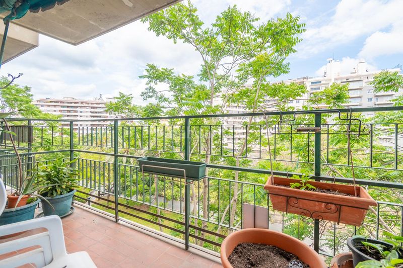 Foto 078d08a4-343a-4c80-8f55-3327cbfd1cd1. Pis a Jaume III Palma de Mallorca