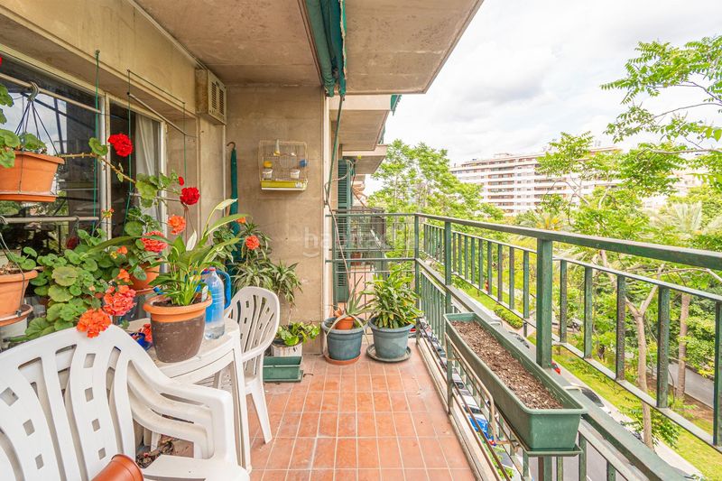 Foto bb3e5089-a8e1-46ec-9b32-2c64e29fcb4c. Pis a Jaume III Palma de Mallorca