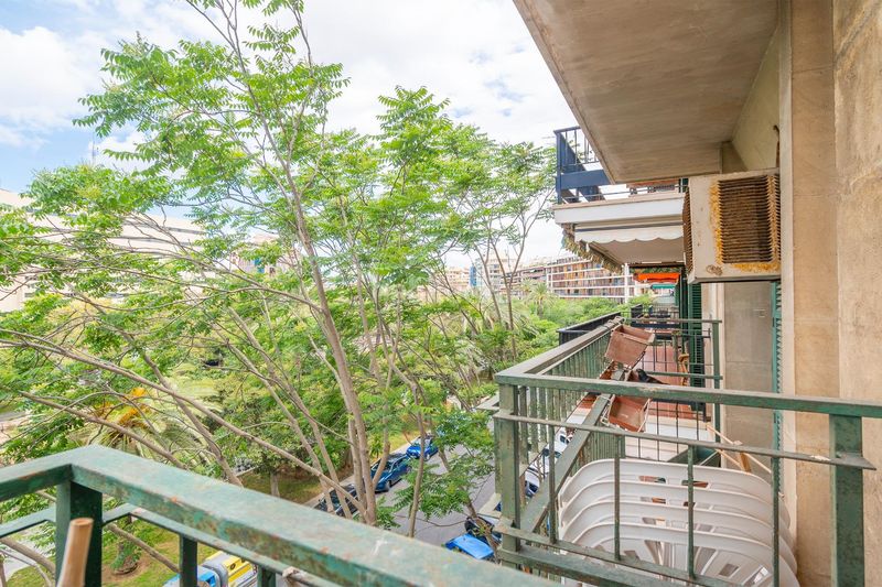 Foto c391cee0-8ec2-49c5-8fbd-2524f7482936. Pis a Jaume III Palma de Mallorca