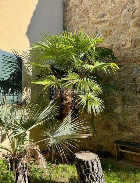 Foto b85276c9-5667-45c1-a7a3-067fe36ad8ff. Casa amb calefacció a Ortigosa del Monte