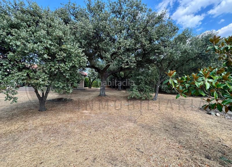 Foto 61616ee1-2769-4d73-8048-0902867b2ba5. Casa amb calefacció aparcament a Navas de Riofrío