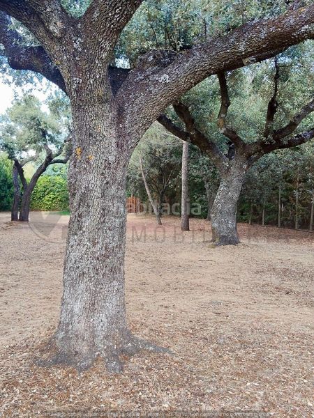 Foto 7dd54839-d858-46c6-8d2f-eea3d0f13430. Casa amb calefacció aparcament a Navas de Riofrío