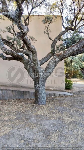 Foto 8886846c-ebc2-453d-ab98-120883530296. Casa amb calefacció aparcament a Navas de Riofrío