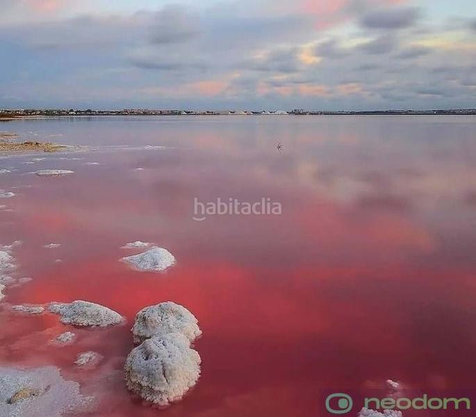 Foto f9fa1f78-cdbe-4abc-9cc0-9fc3cd936a04. Haus in Los Balcones-Los Altos Torrevieja