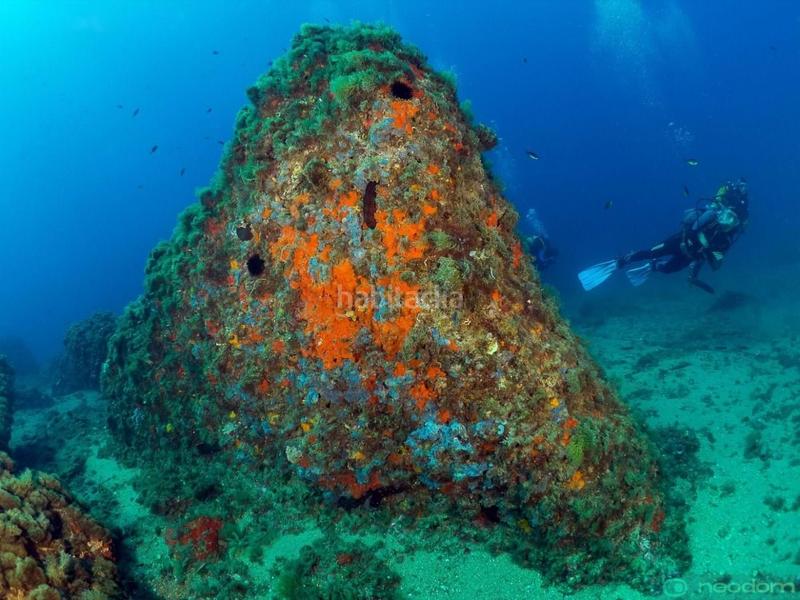 Foto 9679a7a2-32df-41b5-b0b4-5d88a8163c4f. Appartement dans Isla del Fraile Águilas