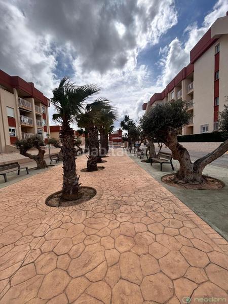 Foto a21169f5-62e5-4e2e-8ff1-0584f6baa6f0. Appartamento in Lomas de Cabo Roig - Los Dolses Orihuela
